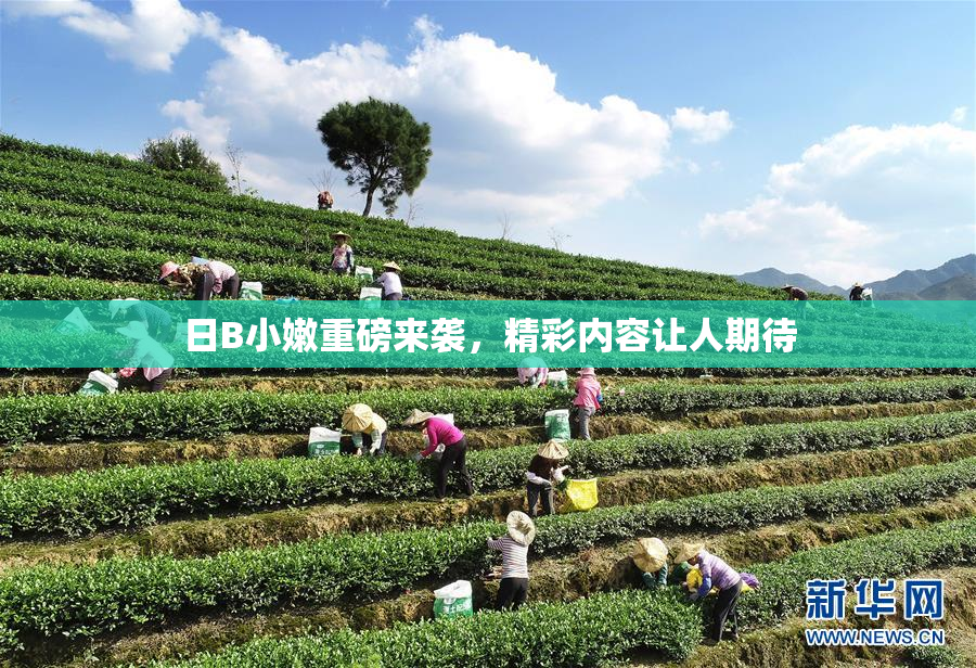日B小嫩重磅来袭，精彩内容让人期待
