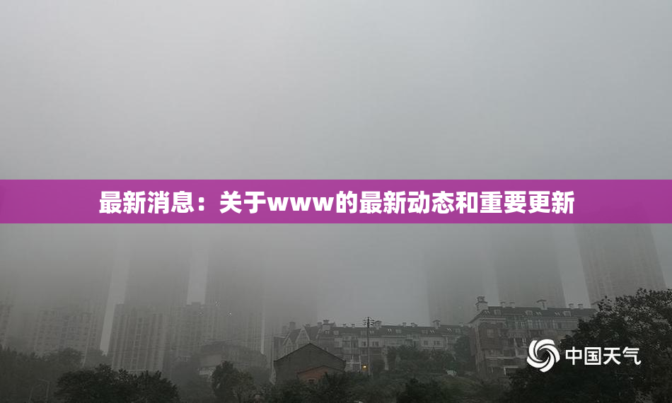 最新消息：关于www的最新动态和重要更新