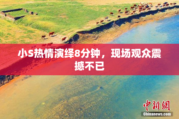 小S热情演绎8分钟，现场观众震撼不已