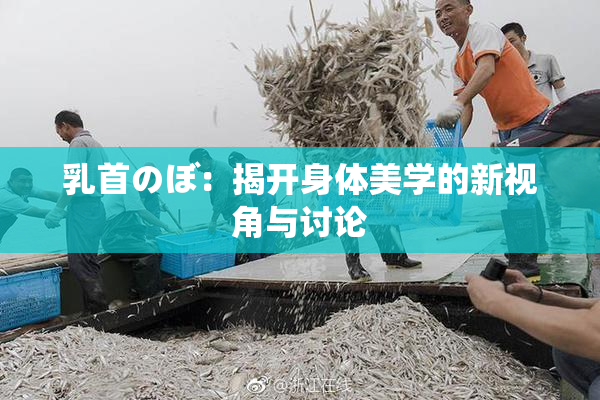 乳首のぼ：揭开身体美学的新视角与讨论
