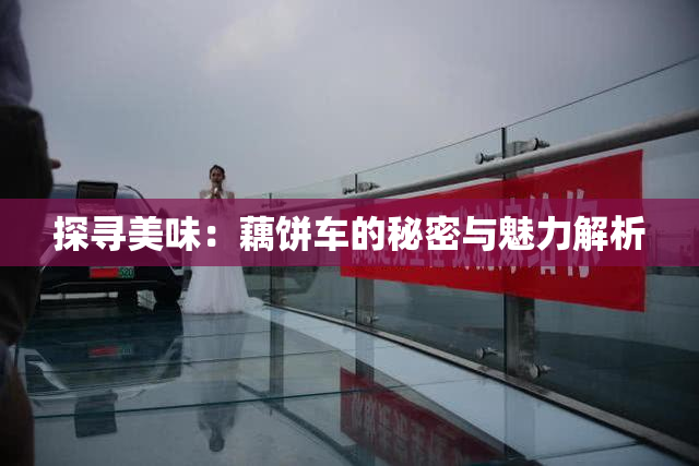 探寻美味：藕饼车的秘密与魅力解析