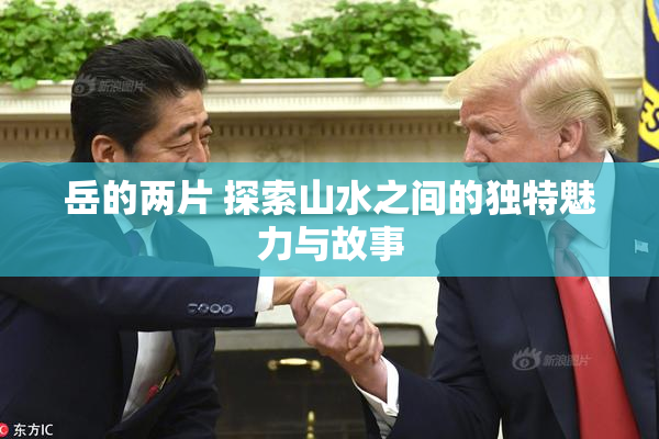 岳的两片 探索山水之间的独特魅力与故事