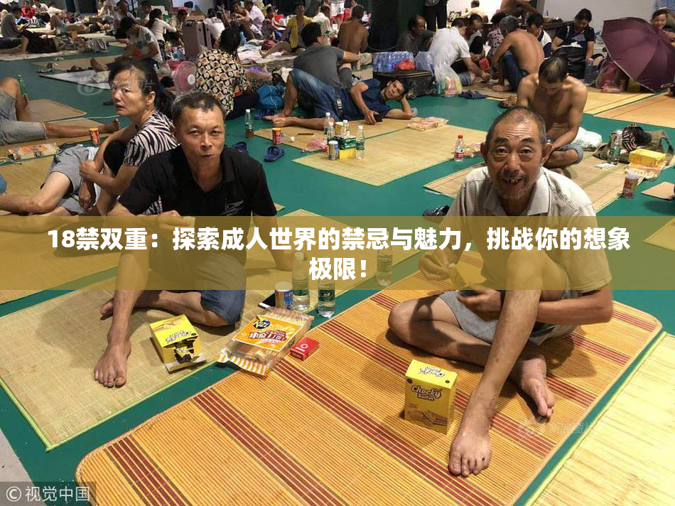 18禁双重：探索成人世界的禁忌与魅力，挑战你的想象极限！