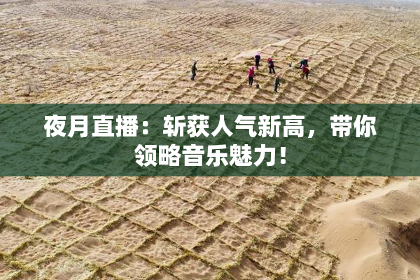 夜月直播：斩获人气新高，带你领略音乐魅力！
