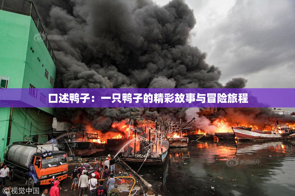 口述鸭子：一只鸭子的精彩故事与冒险旅程