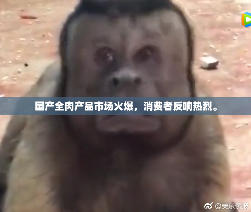国产全肉产品市场火爆，消费者反响热烈。