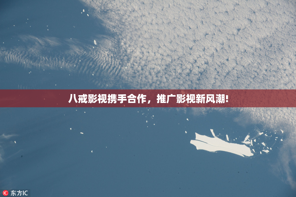 八戒影视携手合作，推广影视新风潮!