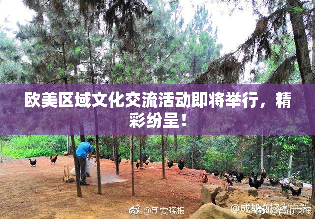 欧美区域文化交流活动即将举行，精彩纷呈！