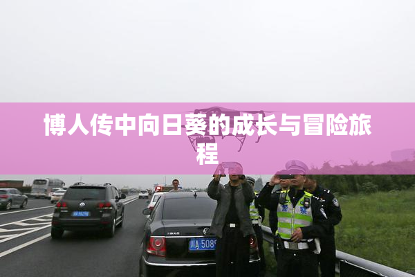 博人传中向日葵的成长与冒险旅程