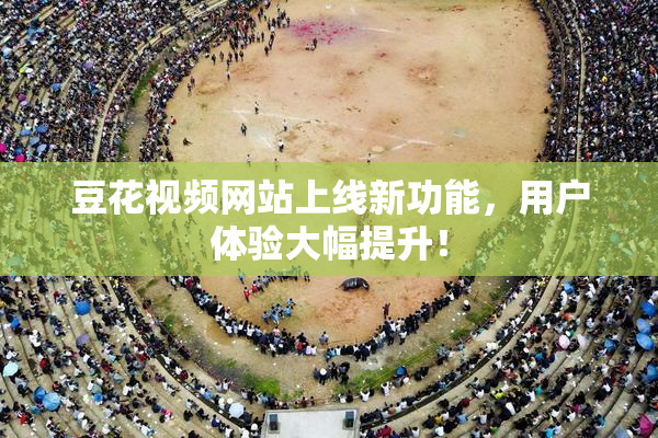 豆花视频网站上线新功能，用户体验大幅提升！
