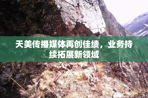 天美传播媒体再创佳绩，业务持续拓展新领域