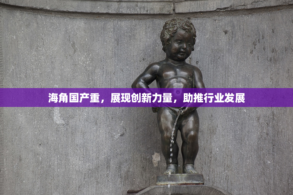 海角国产重，展现创新力量，助推行业发展