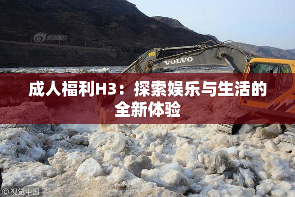成人福利H3：探索娱乐与生活的全新体验