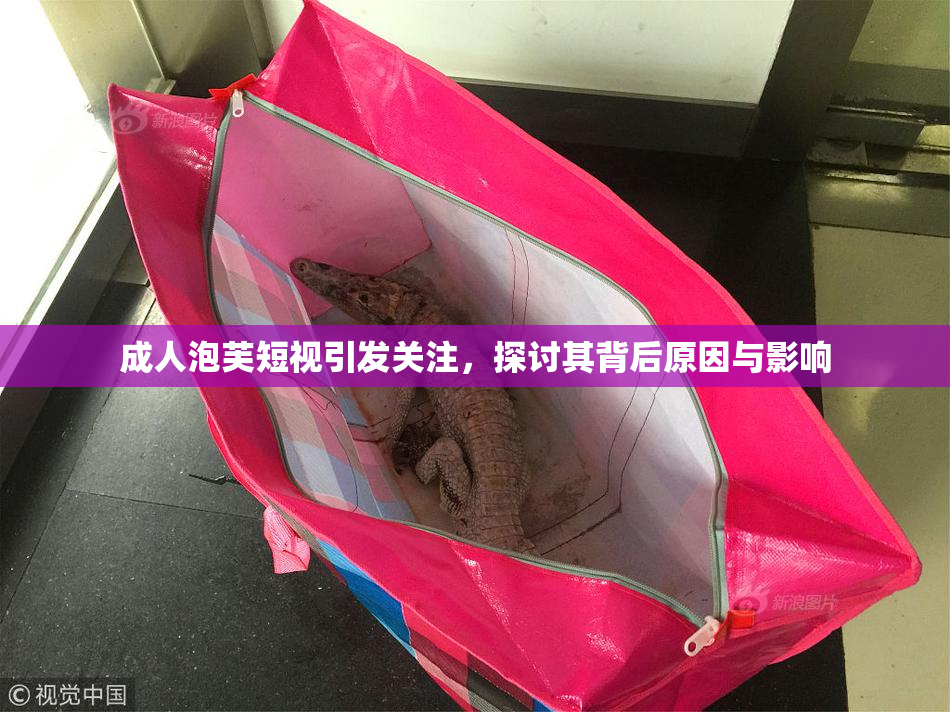 成人泡芙短视引发关注，探讨其背后原因与影响