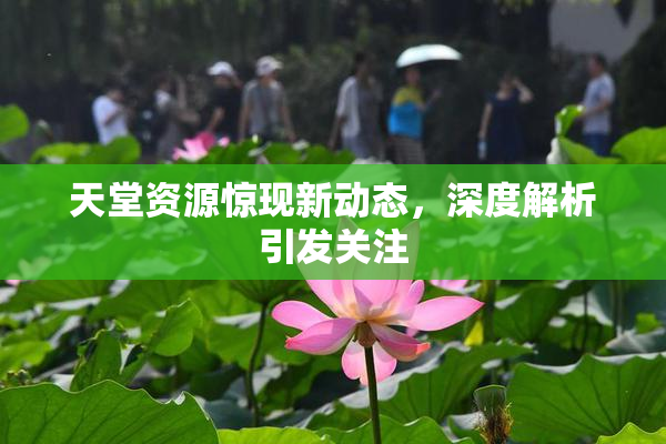 天堂资源惊现新动态，深度解析引发关注