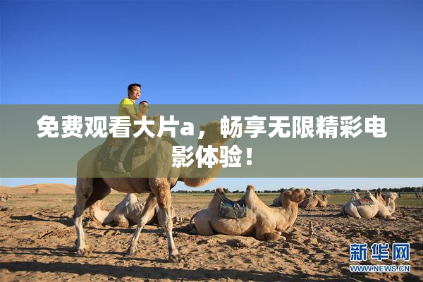 免费观看大片a，畅享无限精彩电影体验！