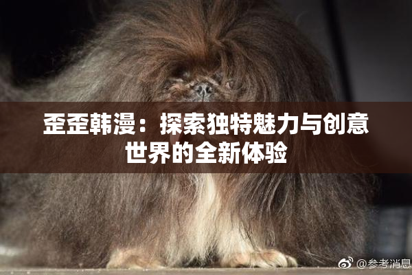 歪歪韩漫：探索独特魅力与创意世界的全新体验