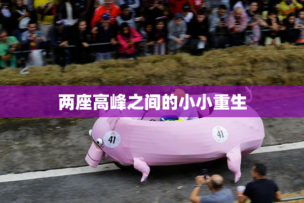 两座高峰之间的小小重生