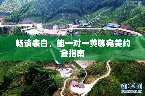 畅谈表白，能一对一黄聊完美约会指南