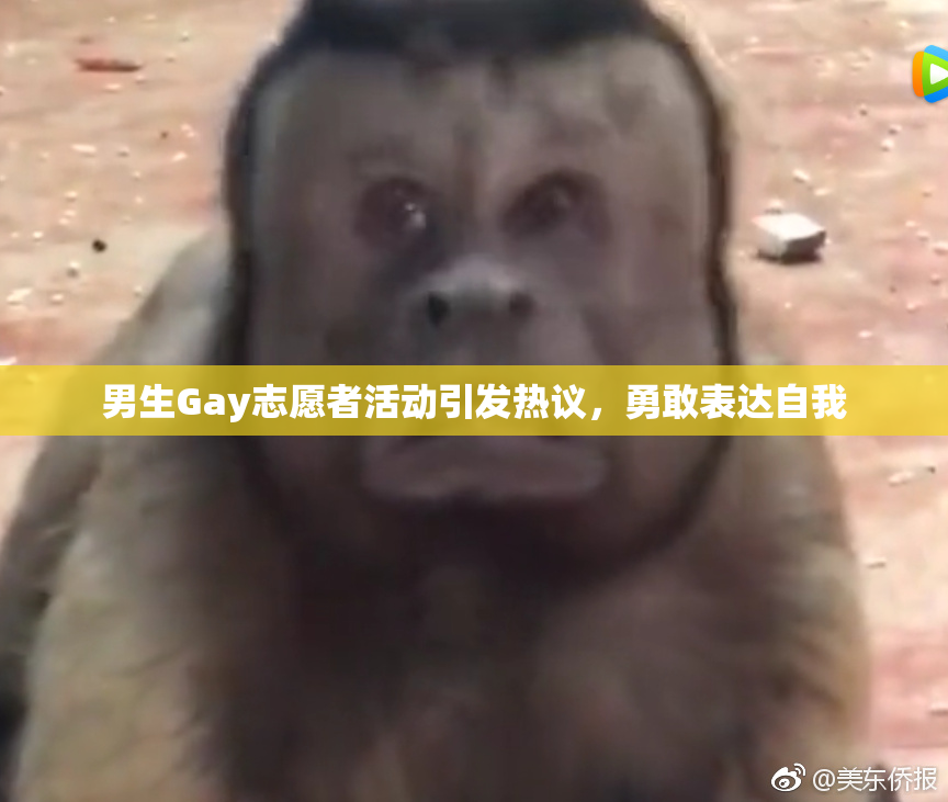 男生Gay志愿者活动引发热议，勇敢表达自我