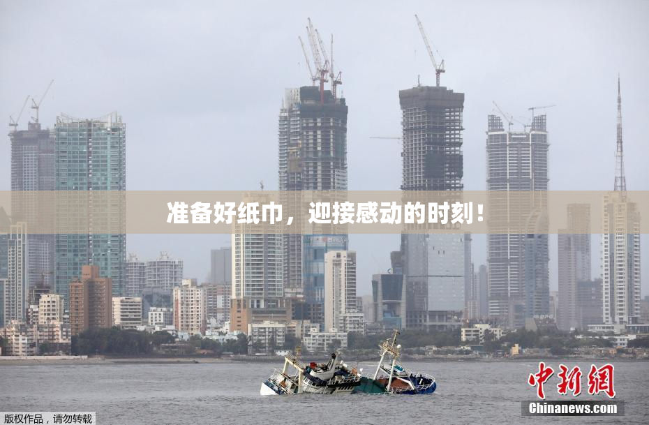 准备好纸巾，迎接感动的时刻！