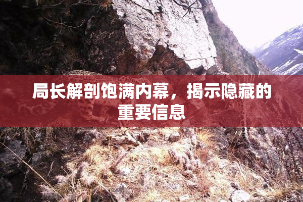 局长解剖饱满内幕，揭示隐藏的重要信息