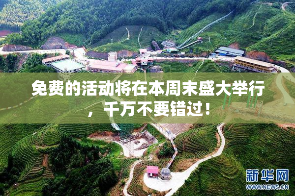 免费的活动将在本周末盛大举行，千万不要错过！