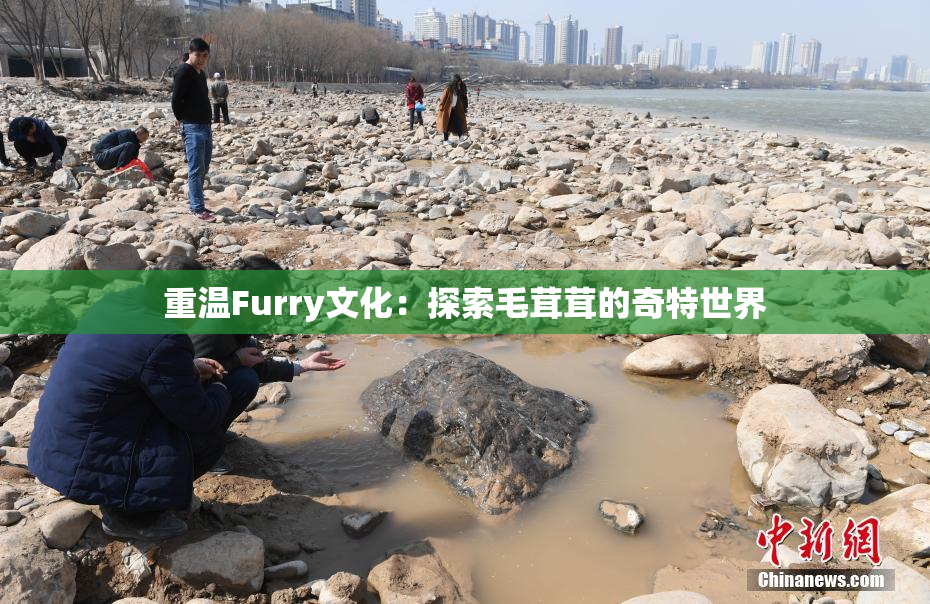重温Furry文化：探索毛茸茸的奇特世界