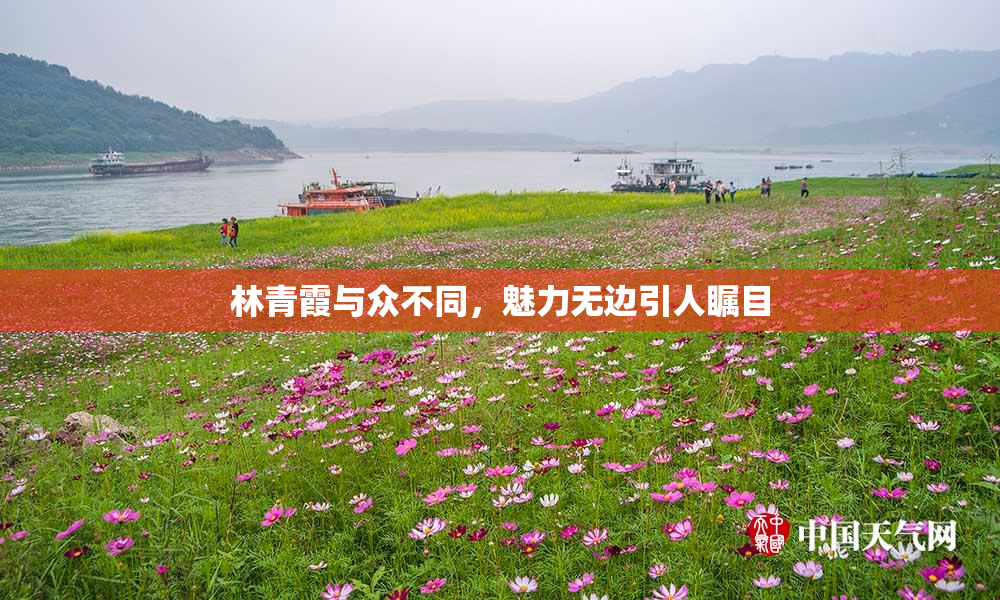 林青霞与众不同，魅力无边引人瞩目