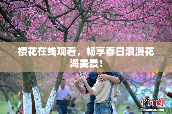 樱花在线观看，畅享春日浪漫花海美景！