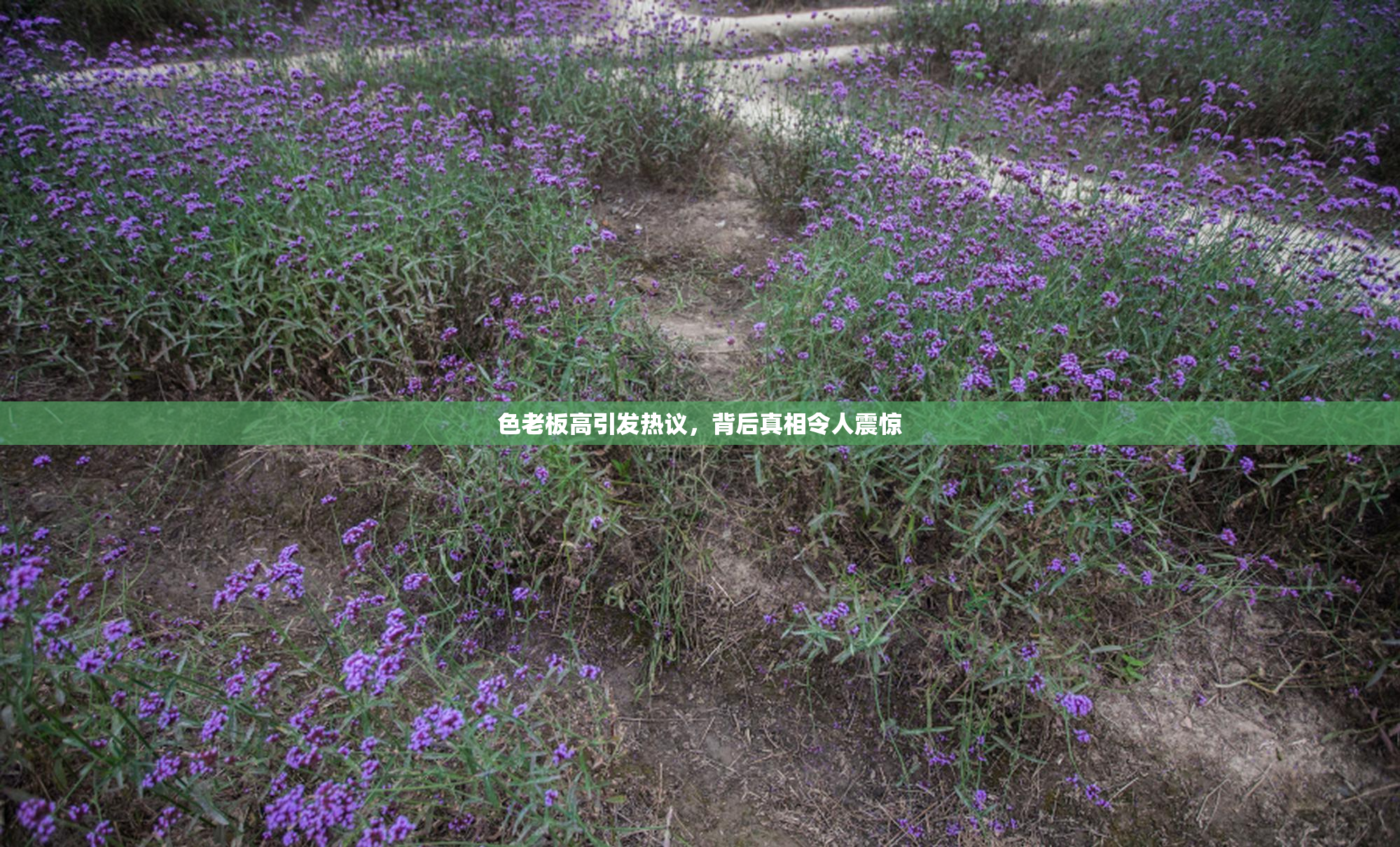 色老板高引发热议，背后真相令人震惊