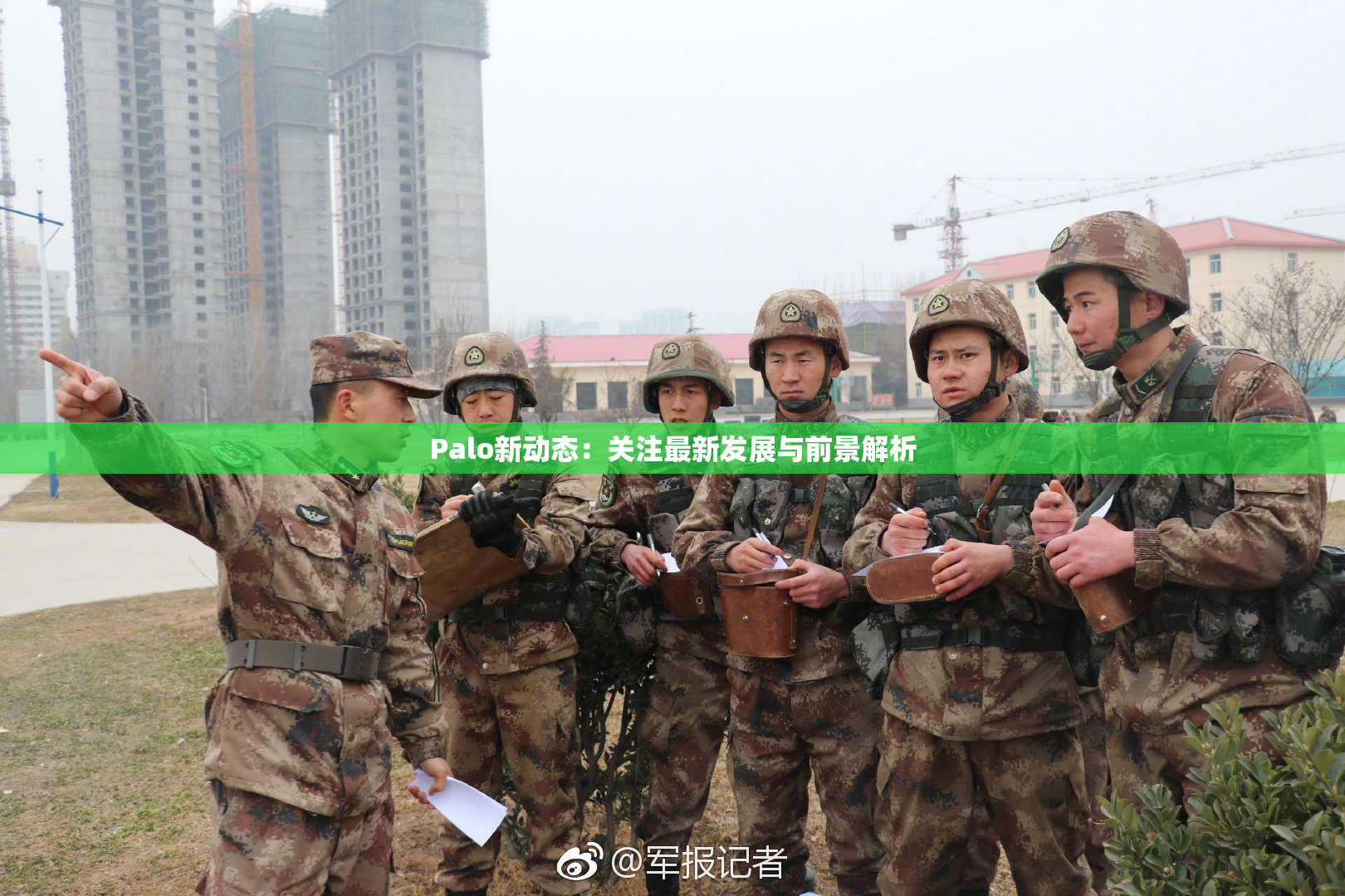 Palo新动态：关注最新发展与前景解析