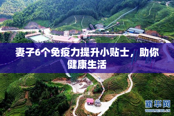 妻子6个免疫力提升小贴士，助你健康生活