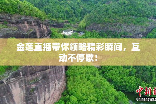 金莲直播带你领略精彩瞬间，互动不停歇！