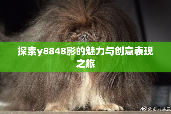 探索y8848影的魅力与创意表现之旅