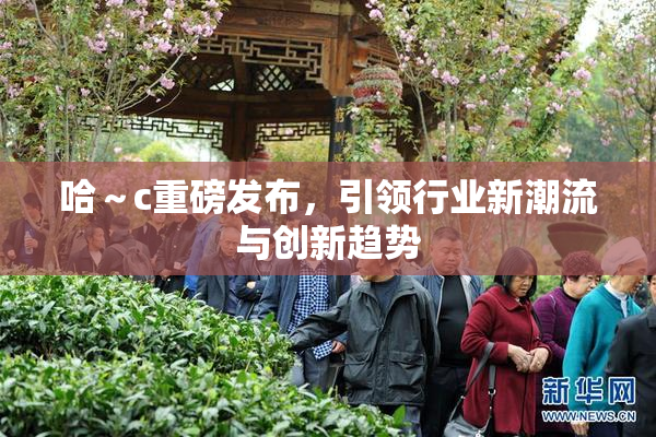 哈～c重磅发布，引领行业新潮流与创新趋势