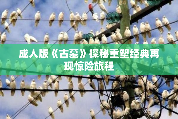 成人版《古墓》探秘重塑经典再现惊险旅程