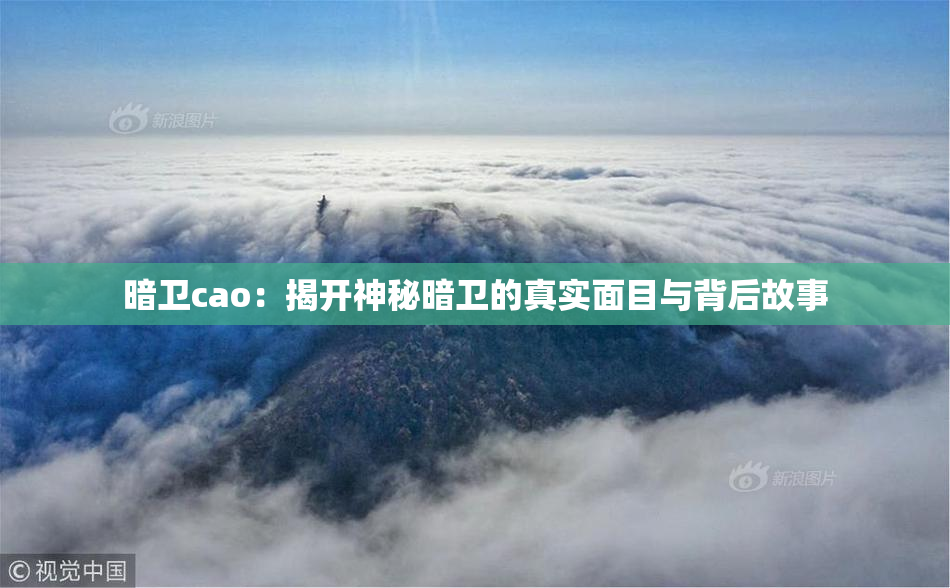 暗卫cao：揭开神秘暗卫的真实面目与背后故事