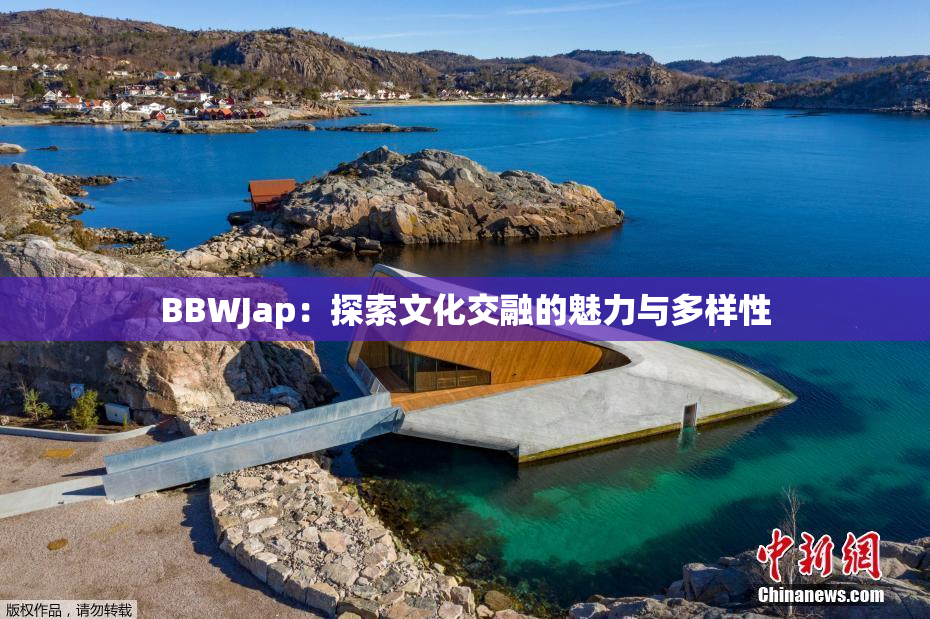 BBWJap：探索文化交融的魅力与多样性