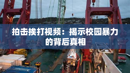 拍击挨打视频：揭示校园暴力的背后真相