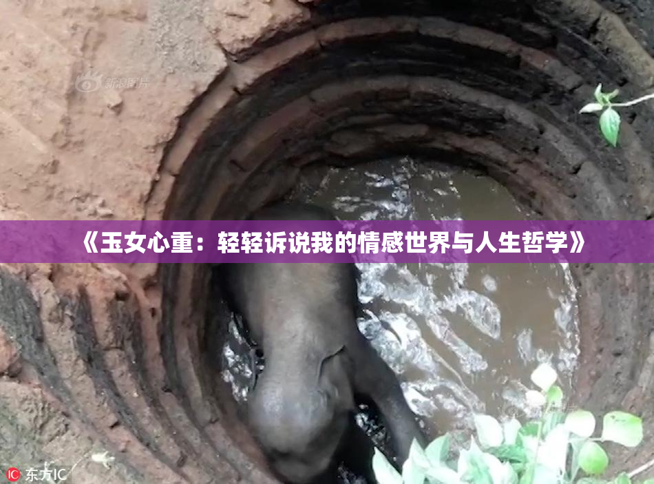《玉女心重：轻轻诉说我的情感世界与人生哲学》