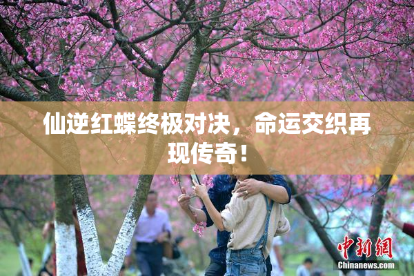 仙逆红蝶终极对决，命运交织再现传奇！