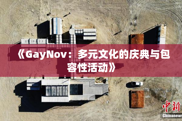 《GayNov：多元文化的庆典与包容性活动》