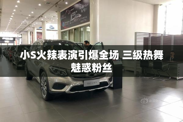 小S火辣表演引爆全场 三级热舞魅惑粉丝