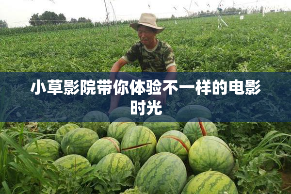 小草影院带你体验不一样的电影时光
