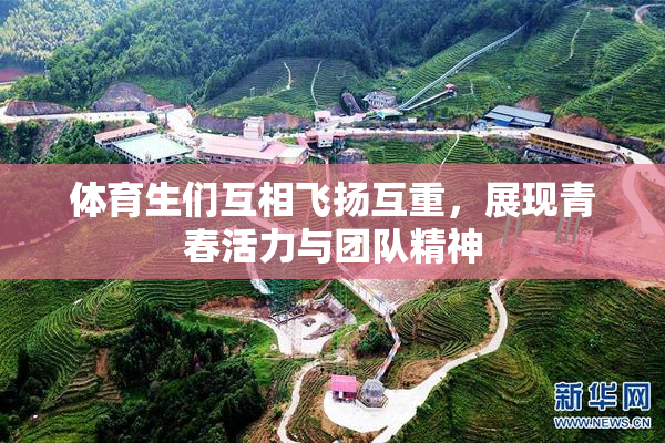 体育生们互相飞扬互重，展现青春活力与团队精神