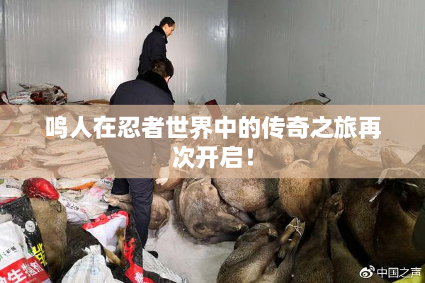 鸣人在忍者世界中的传奇之旅再次开启！