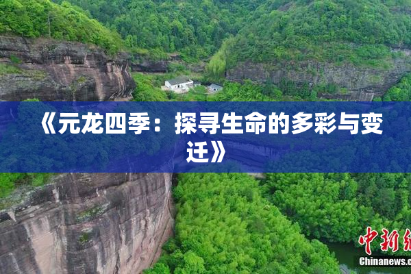 《元龙四季：探寻生命的多彩与变迁》