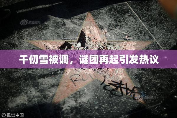 千仞雪被调，谜团再起引发热议