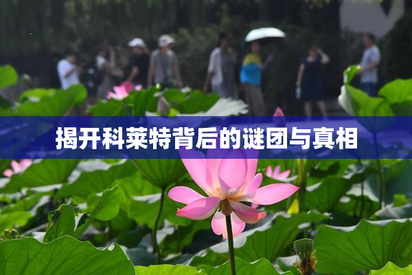 揭开科莱特背后的谜团与真相